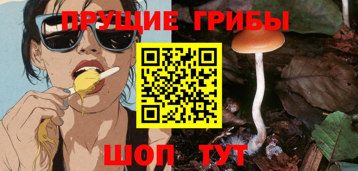 Конаково  Галлюциногенные грибы GOLDEN TEACHER  Вход с VPN  Псилоцибиновые грибы Psilocybe 