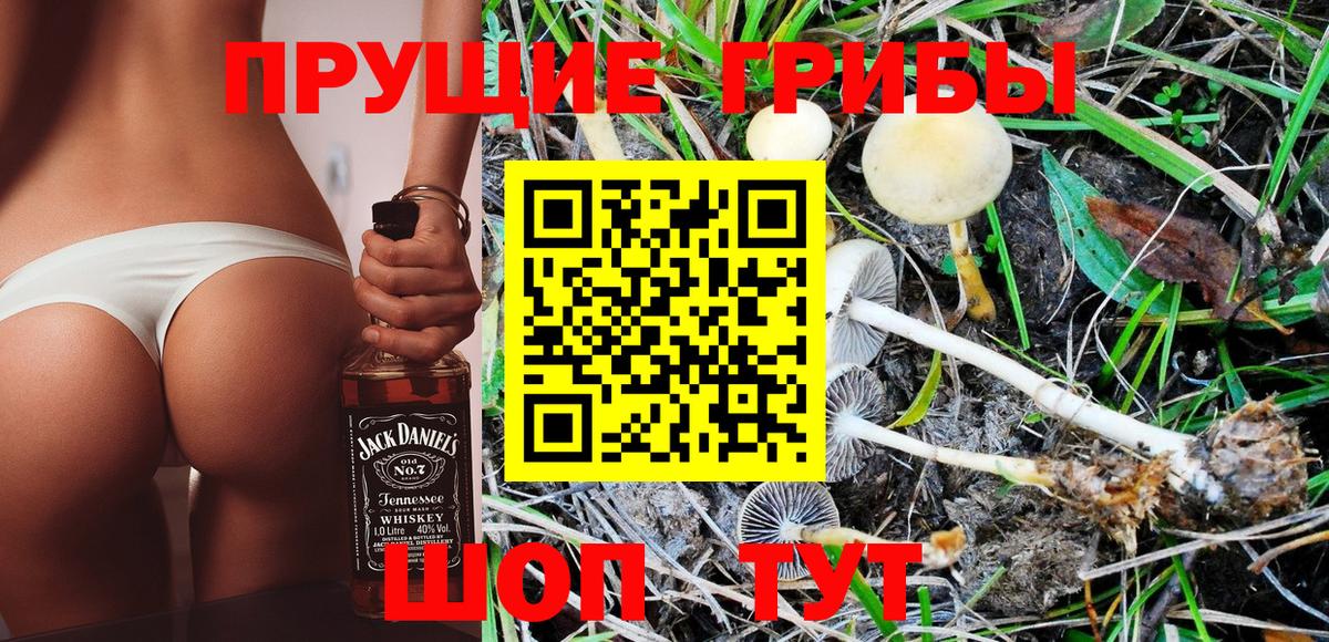 Псилоцибиновые грибы GOLDEN TEACHER Конаково