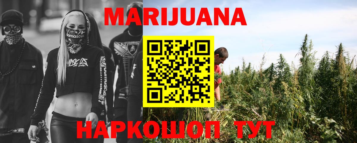 Каннабис планчик  Конопля план  Каннабис MAZAR  Конаково  Шишки марихуана индика  Вход с VPN 